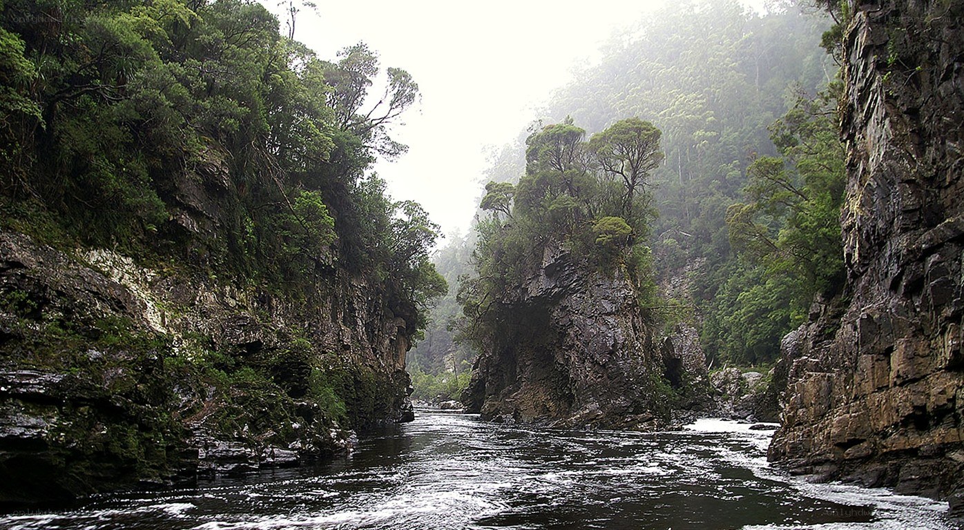 river flowing through a forested canyon