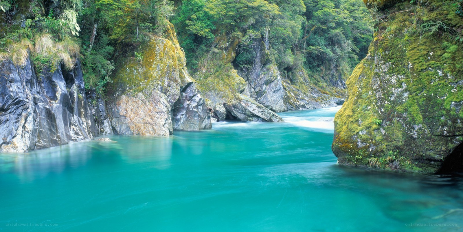 river flowing through a forested canyon
