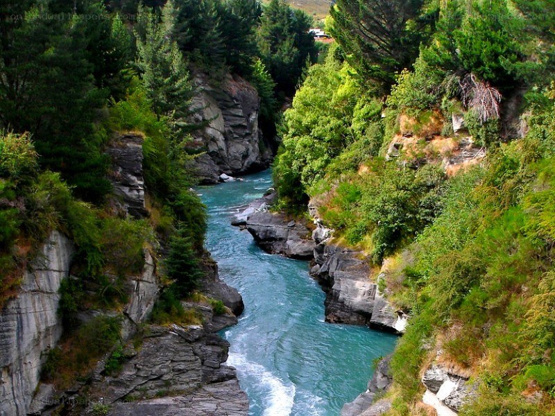 river flowing through a forested canyon