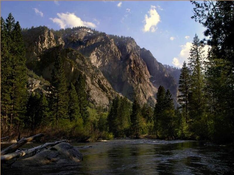 river flowing through a forested canyon