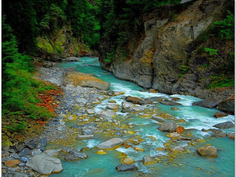 river flowing through a forested canyon