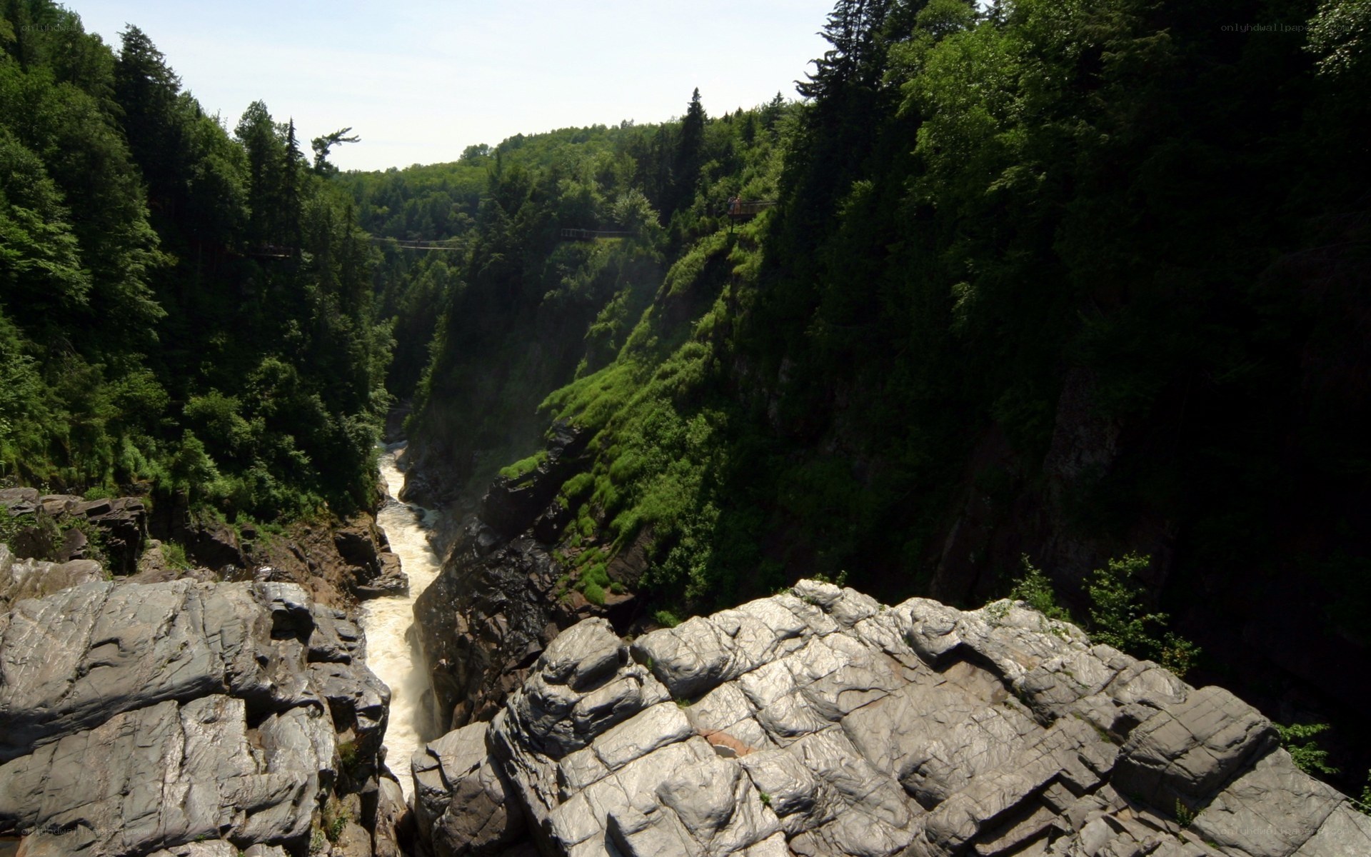 river flowing through a forested canyon