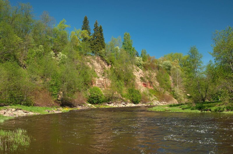 River flowing through a forested cliff