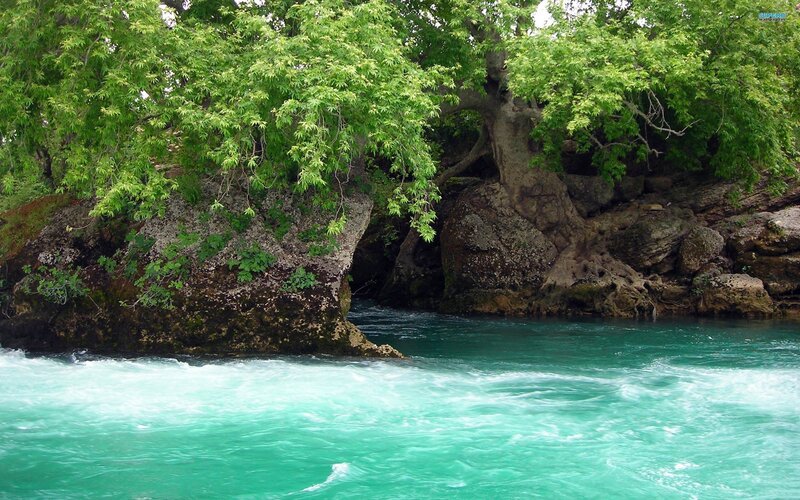 River flowing through a forested gorge