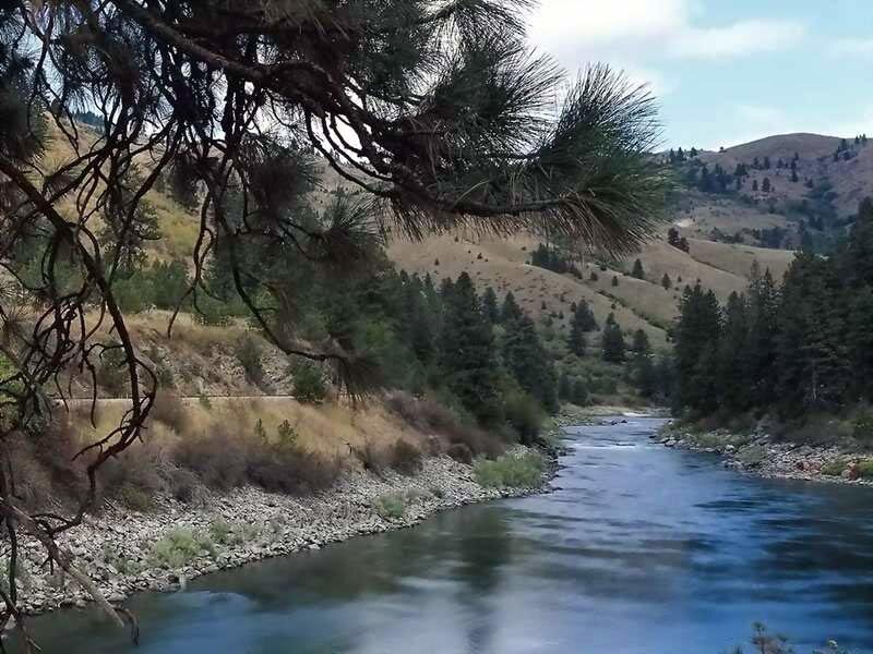 river flowing through a forested valley