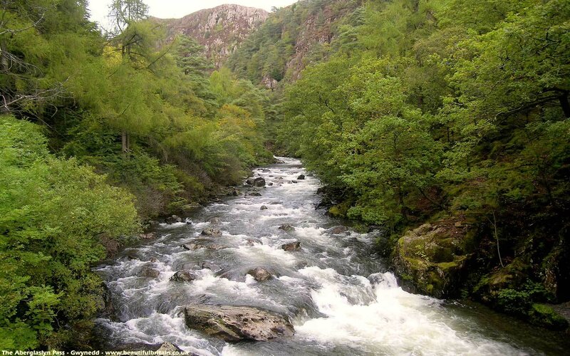 River flowing through a forested valley