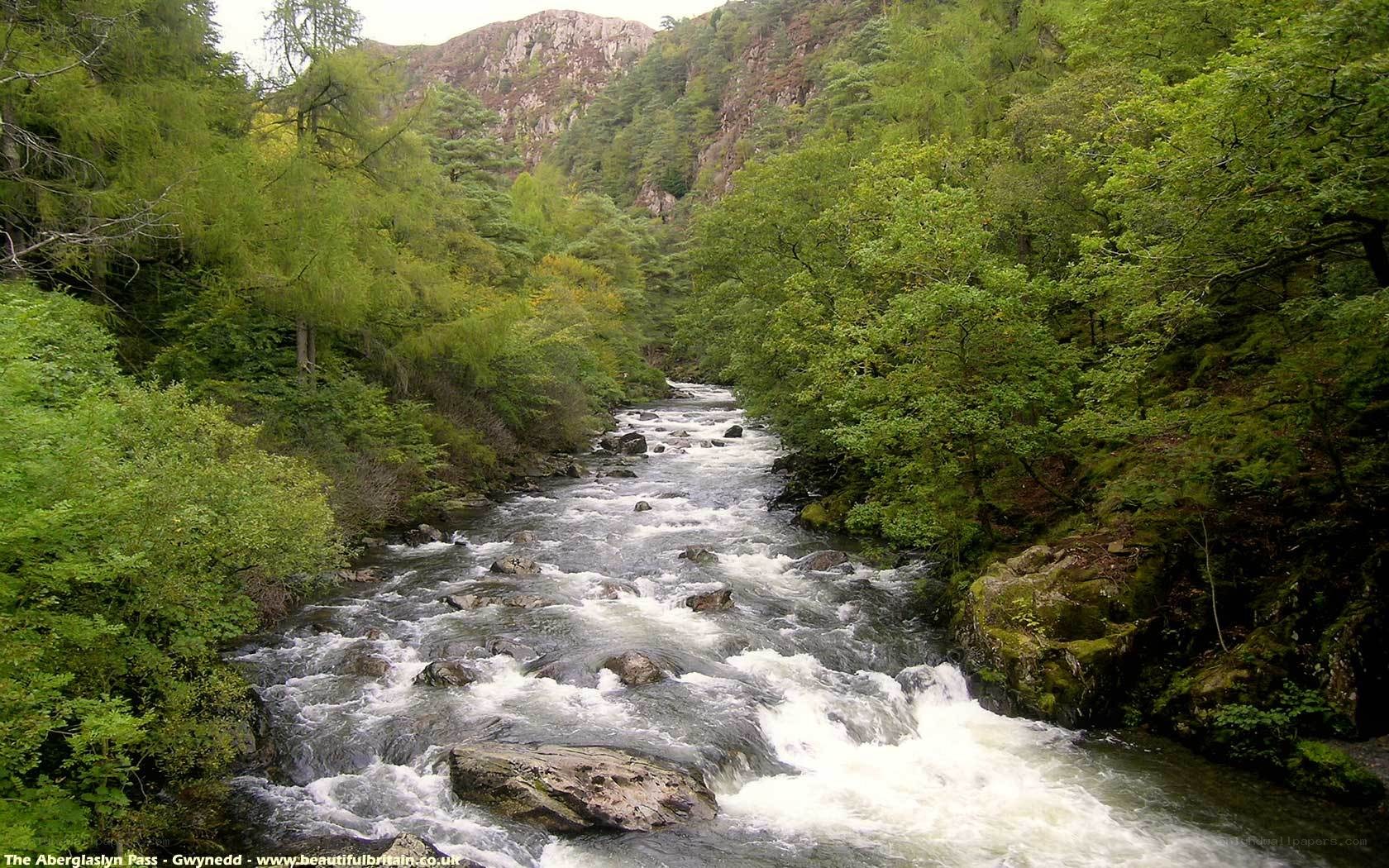 River flowing through a forested valley