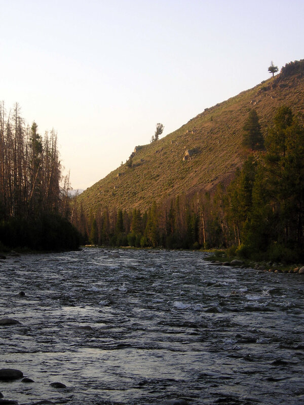 river flowing through a forested valley