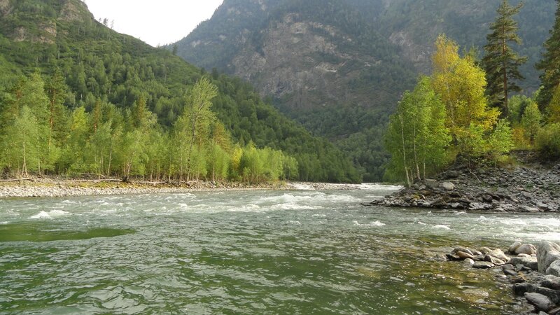 river flowing through a forested valley