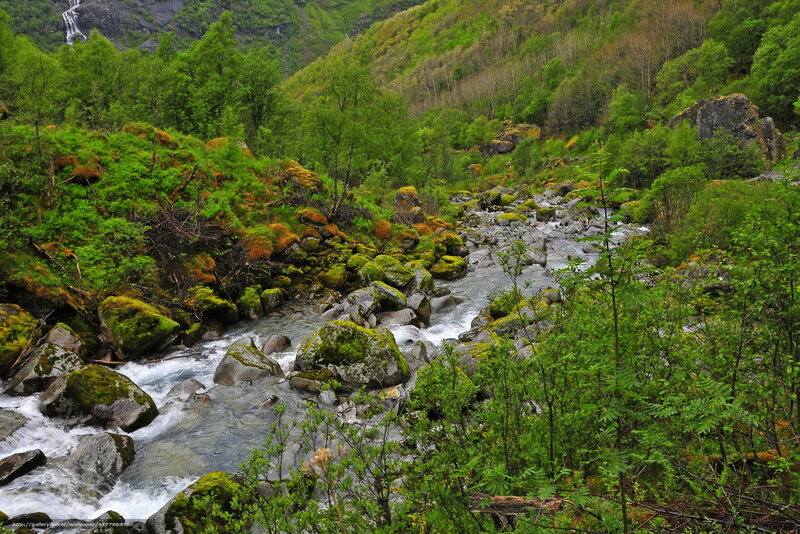 River flowing through a forested valley