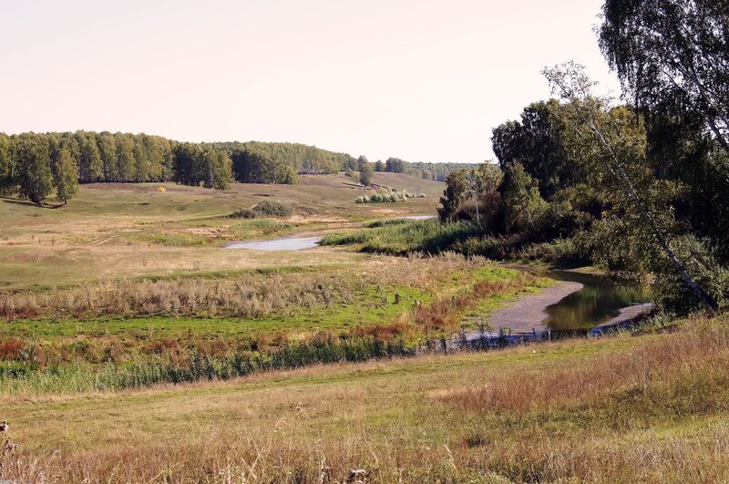 River flowing through a grassy field