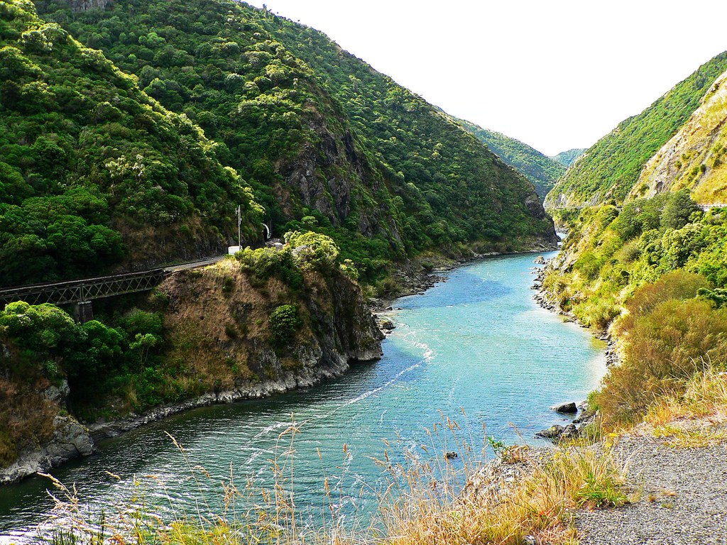 river flowing through a green canyon