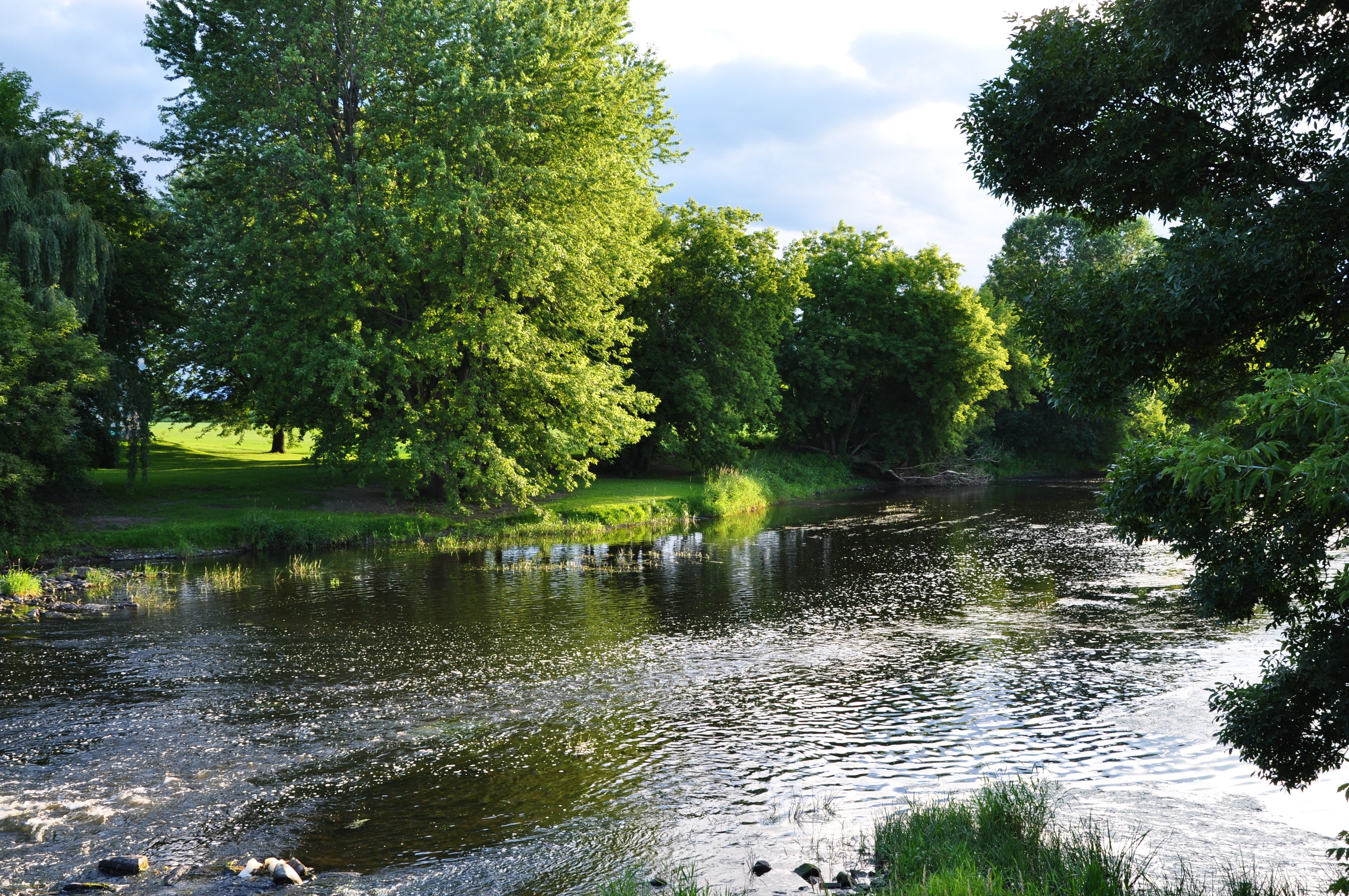River flowing through a green park