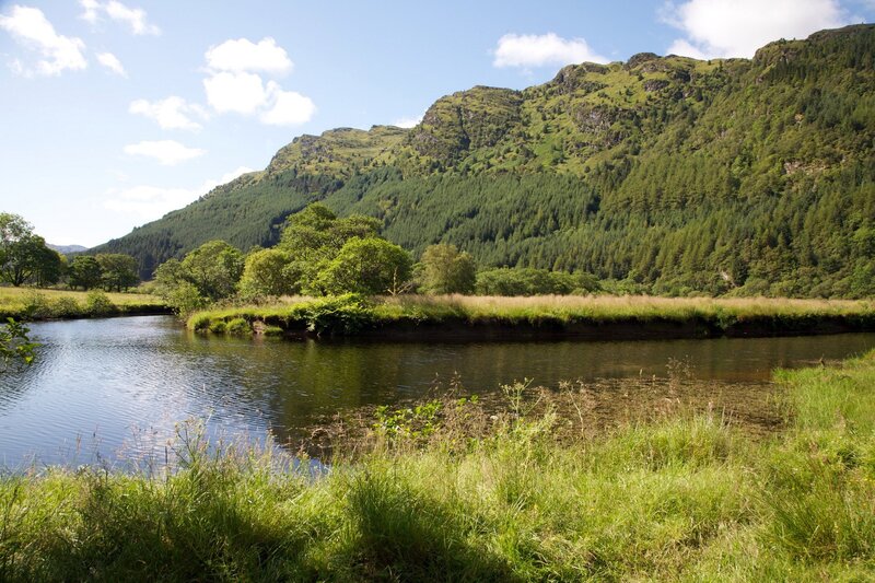 River flowing through a green valley