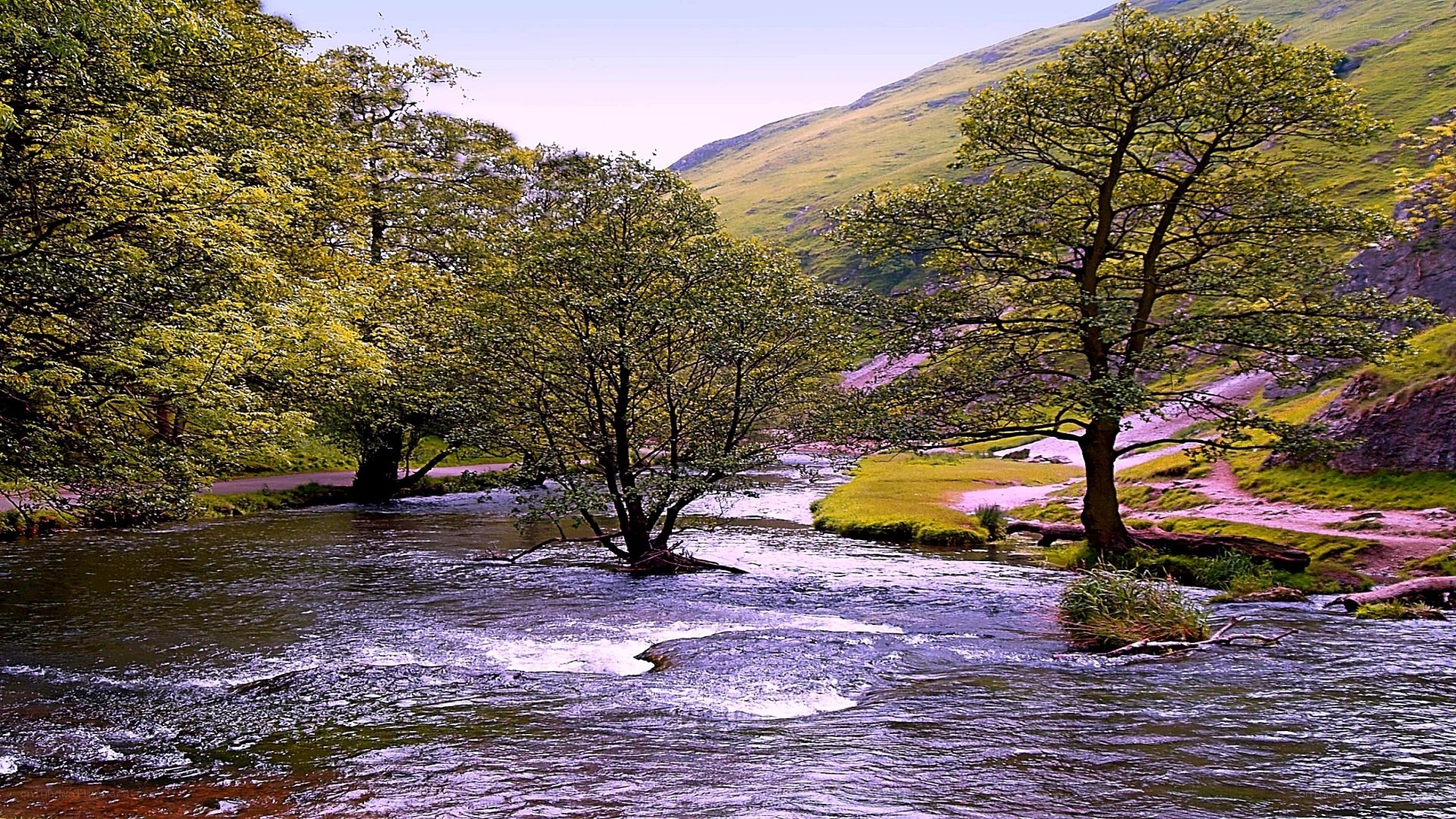 River flowing through a green valley