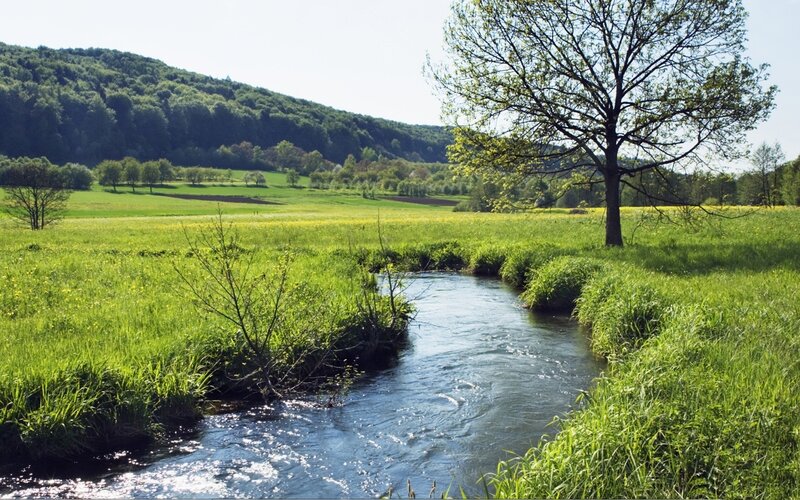 River flowing through a green valley