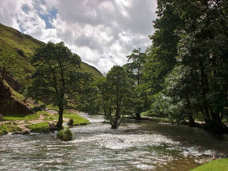 River flowing through a green valley