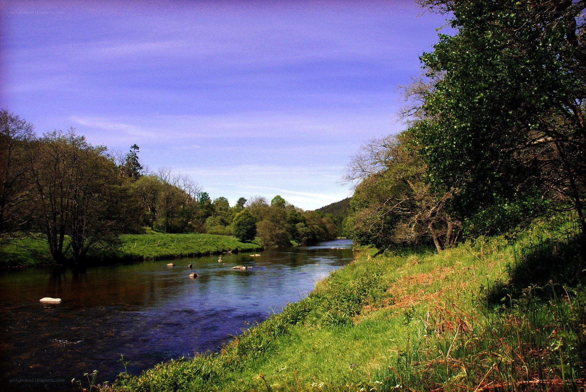 River flowing through a green valley