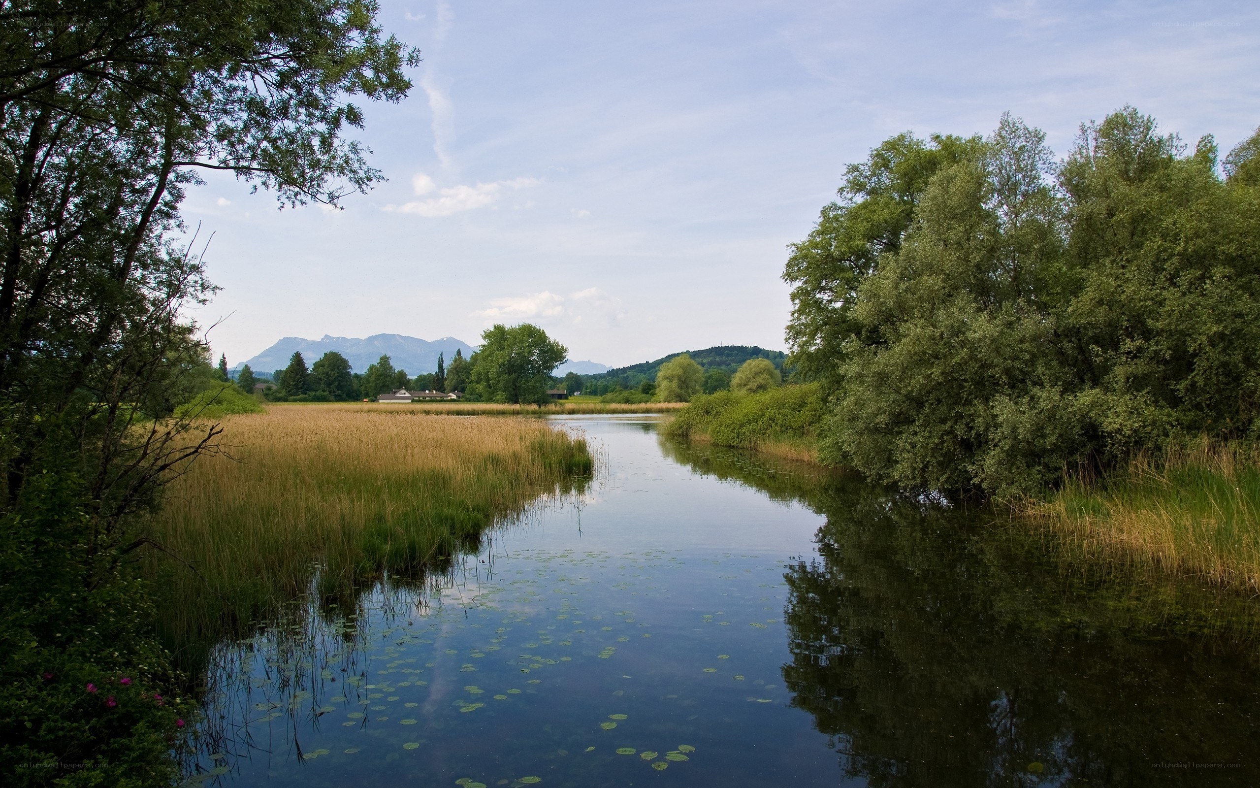 River flowing through a meadow