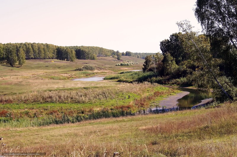 River flowing through a meadow
