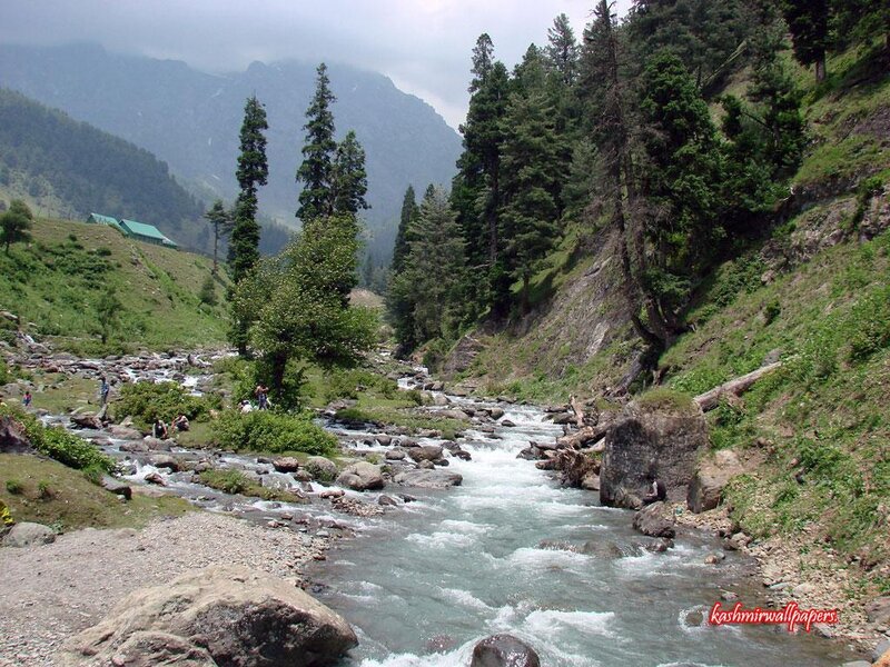 River flowing through a mountain valley