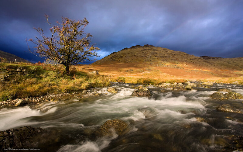 River flowing through a mountain valley