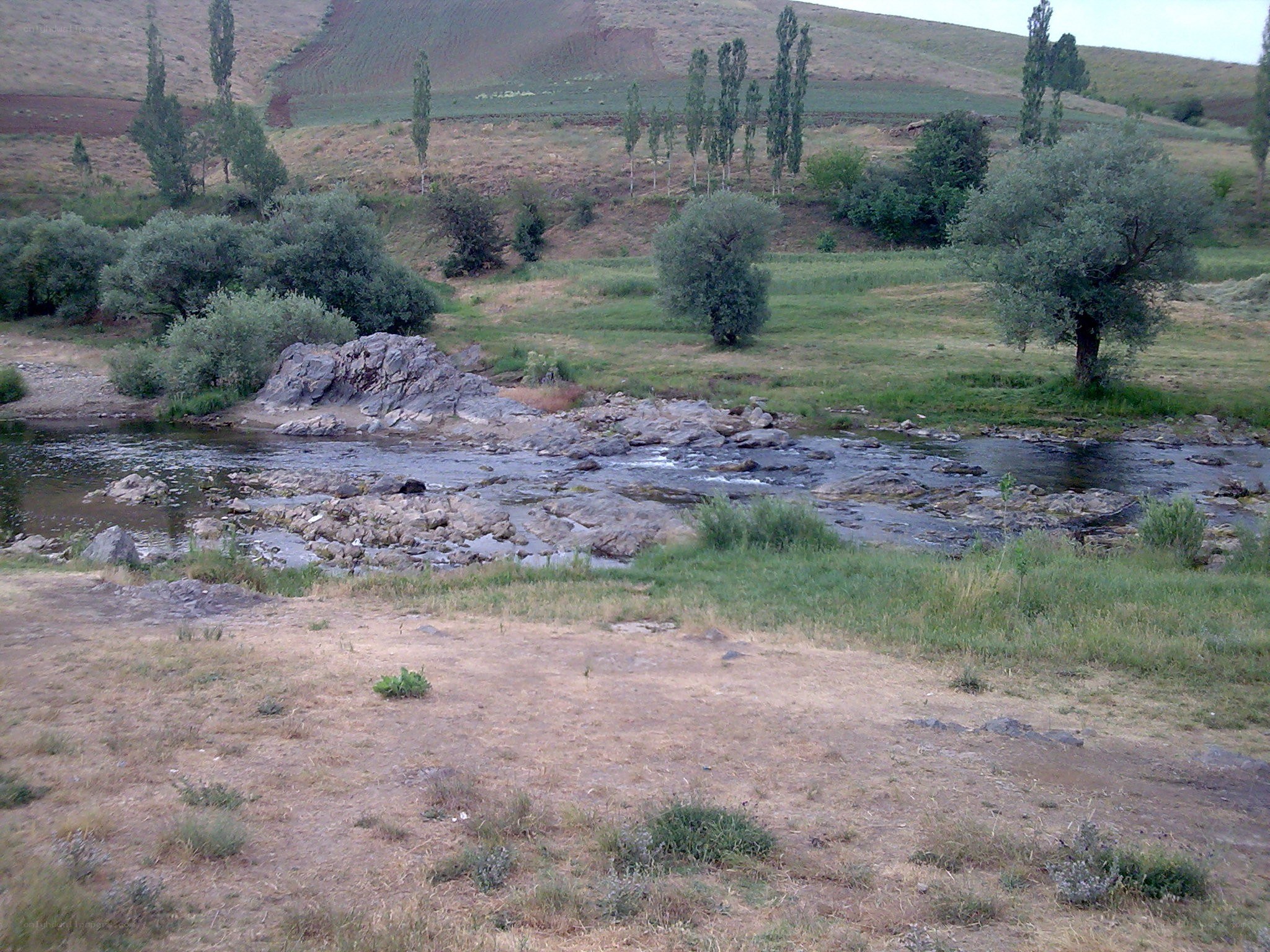 River flowing through a rural landscape