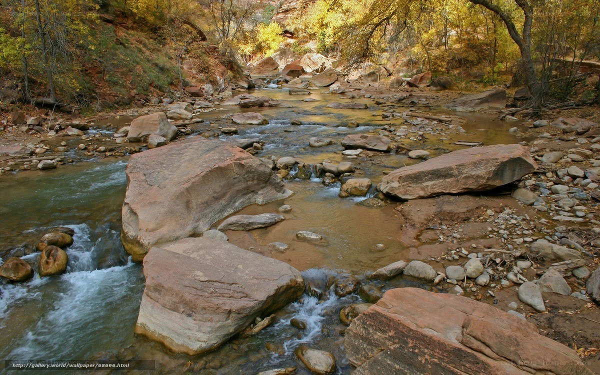 River flowing through autumn canyon