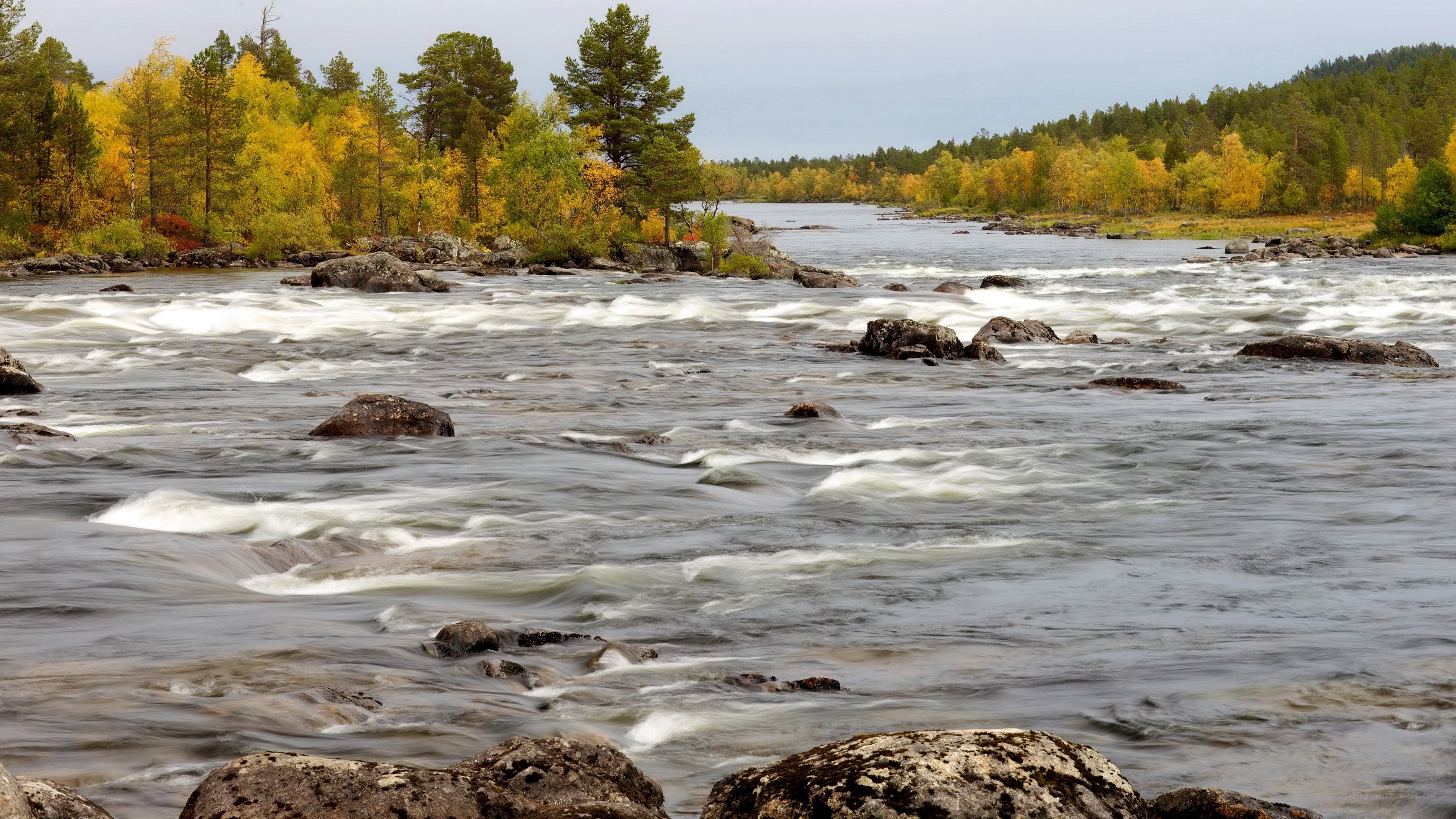 River flowing through autumn forest
