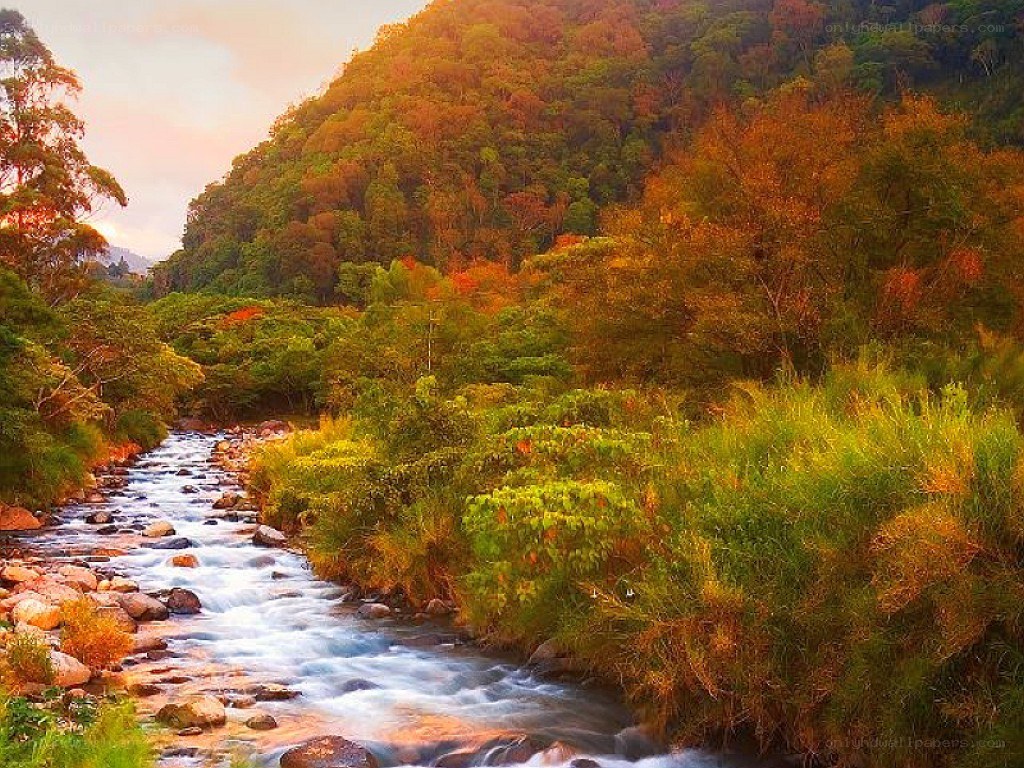River flowing through autumn forest