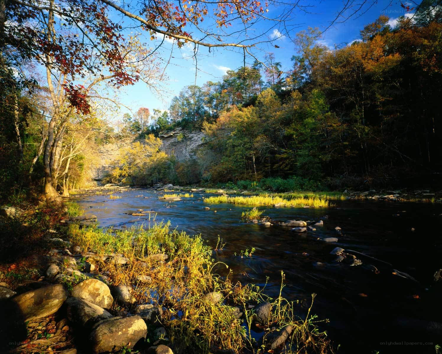River flowing through autumn forest