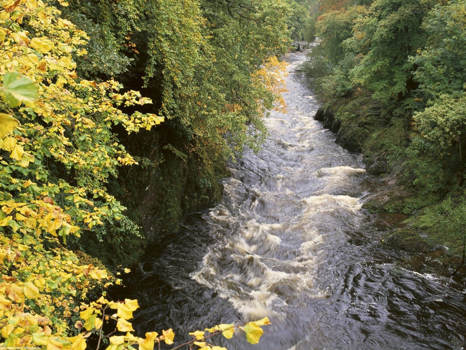 River flowing through autumn forest