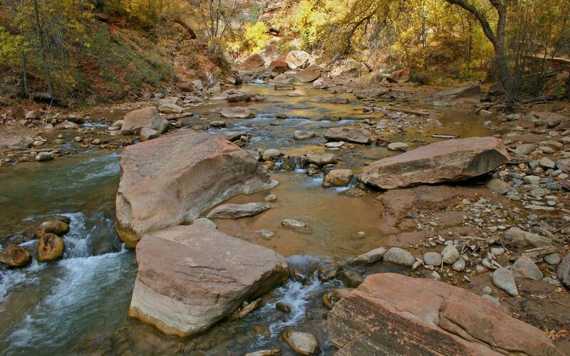 River flowing through autumn forest