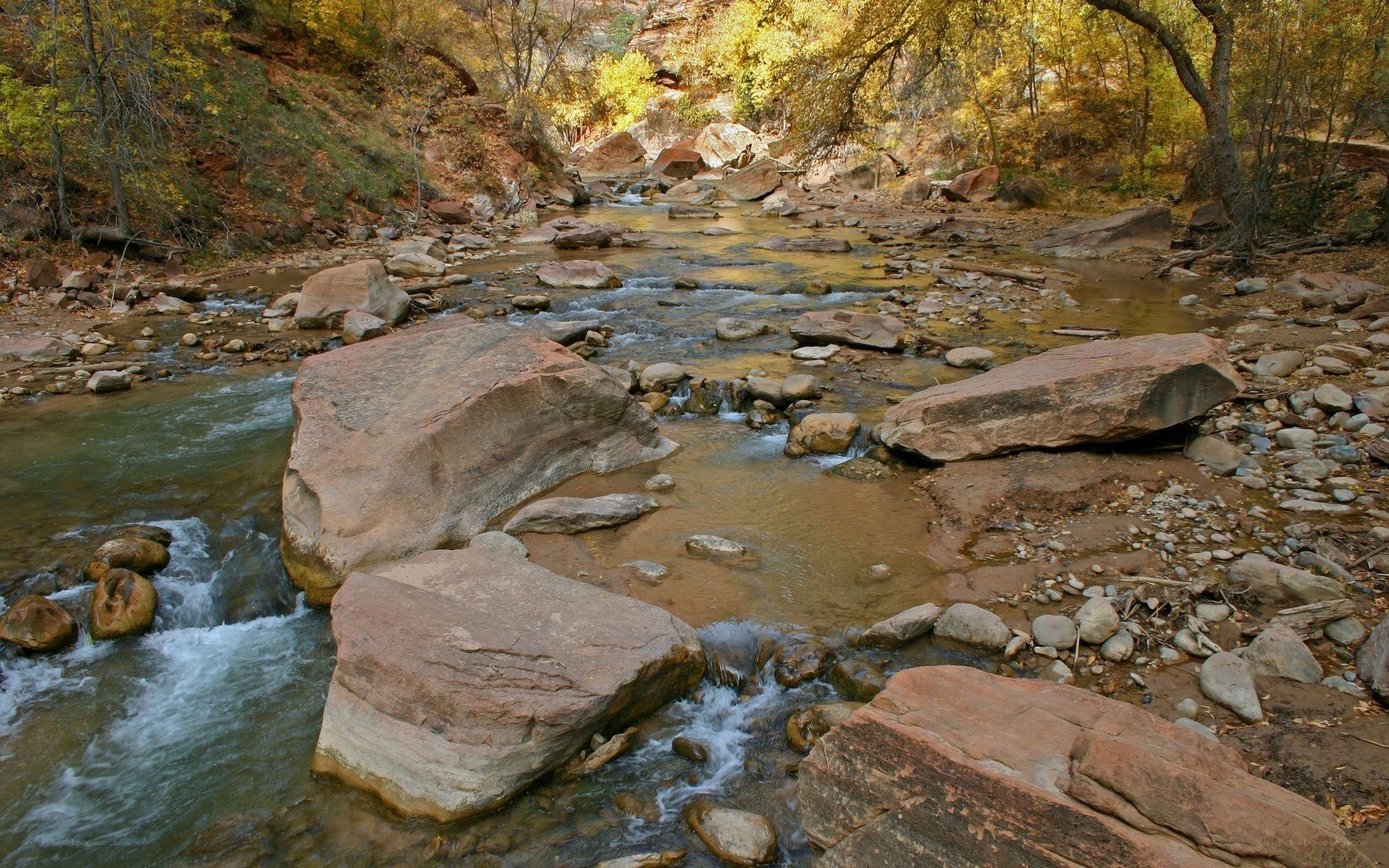 River flowing through autumn forest