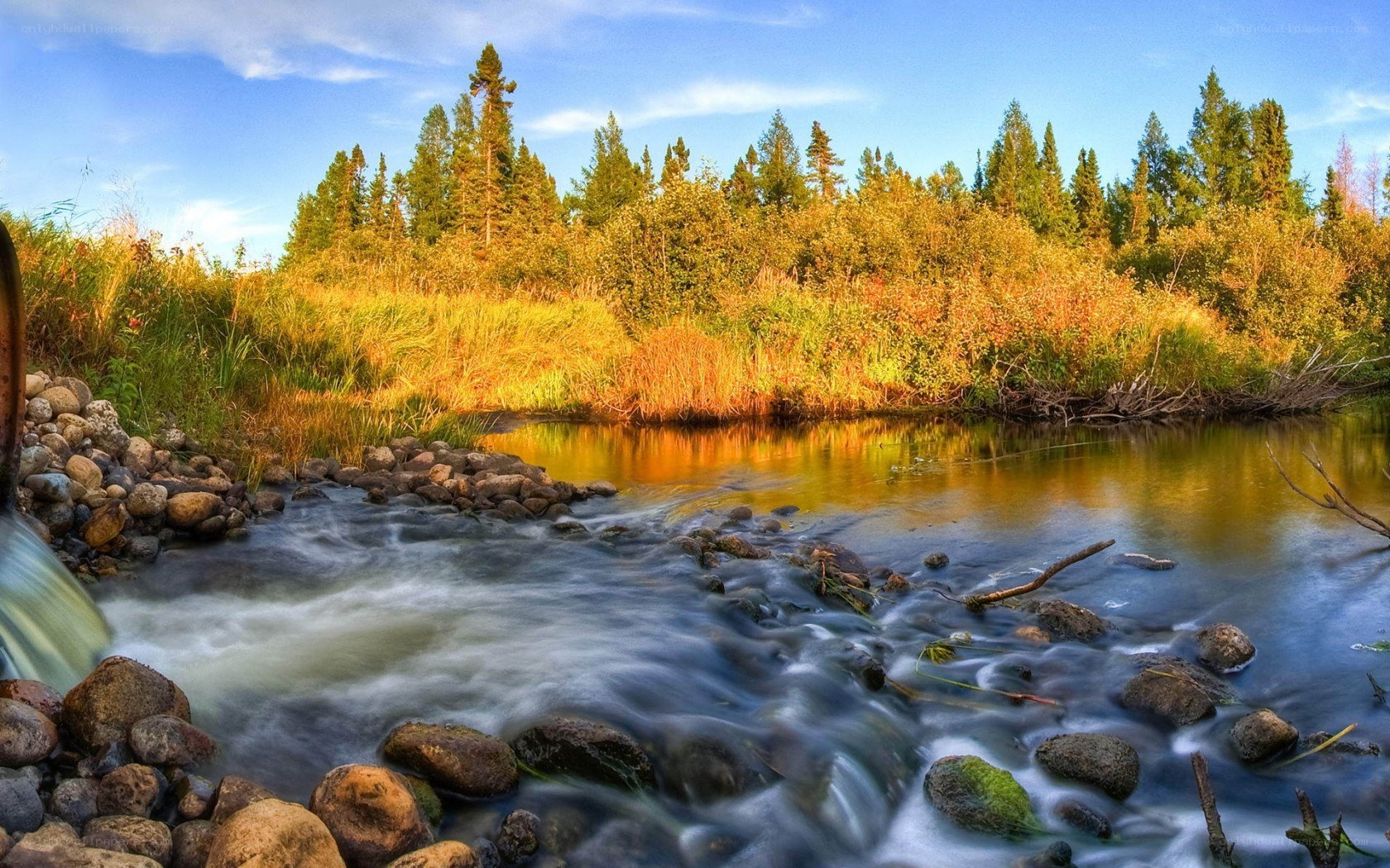 River flowing through autumn forest