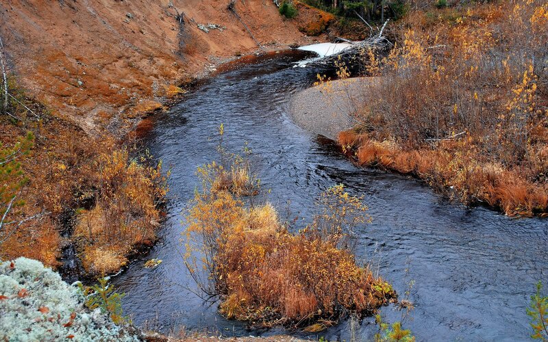 River Flowing Through Autumn Forest — Brown