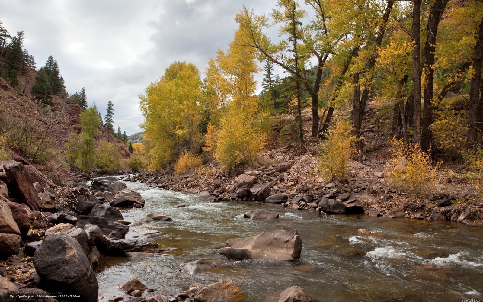 River flowing through autumn forest