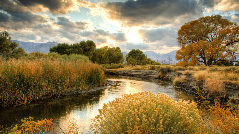 River Flowing Through Autumn Landscape — Golden, Serene