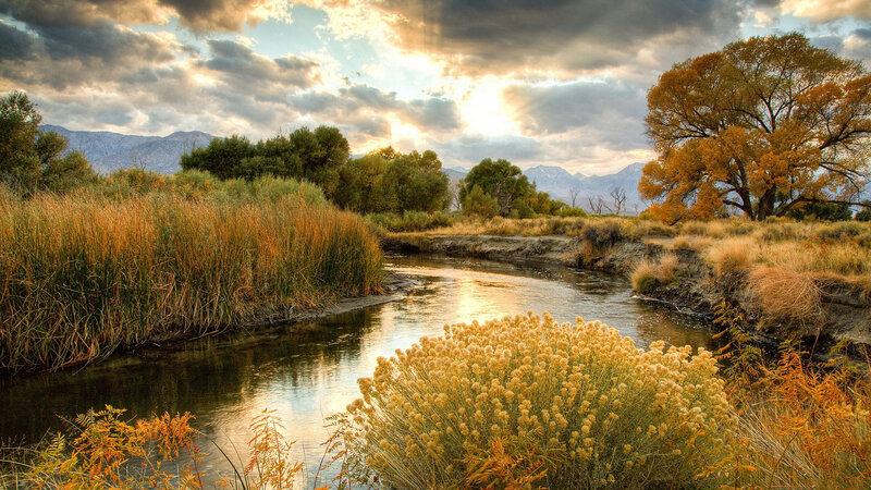 River Flowing Through Autumn Landscape — Golden