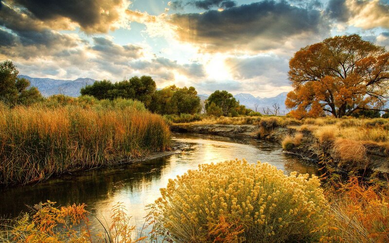 River Flowing Through Autumn Landscape — Yellow