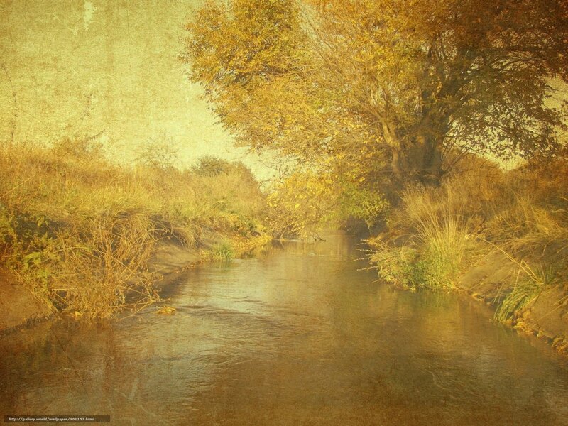 River Flowing Through Autumn Trees