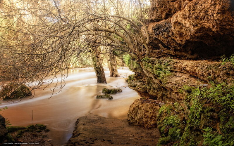 River Flowing Through Canyon — Brown, Serene, Afternoon