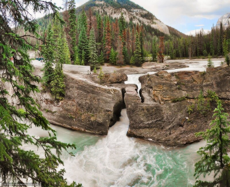 River Flowing Through Canyon — Green, Dramatic, Afternoon, Photograph, Trees, Mountain