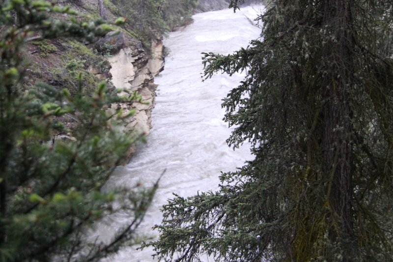 River Flowing Through Canyon — Green, Natural, Photograph, Trees
