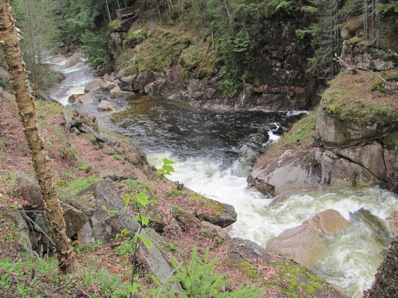 River Flowing Through Canyon — Green, Natural, Spring
