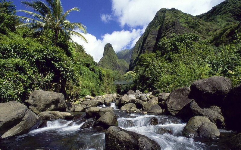 River Flowing Through Canyon — Green, Serene, Afternoon, Photograph, Palm Tree, Mountain, Bridge