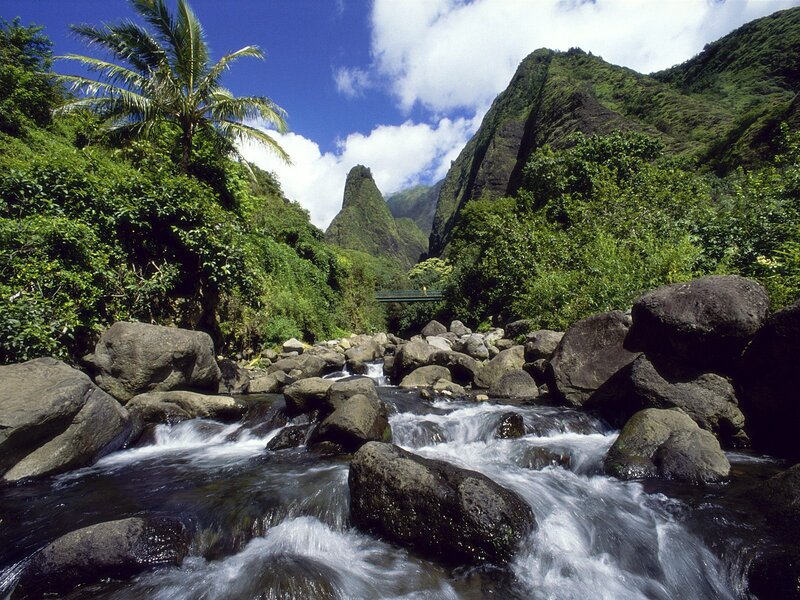 River Flowing Through Canyon — Green, Serene, Afternoon, Photograph, Palm Tree, Mountain