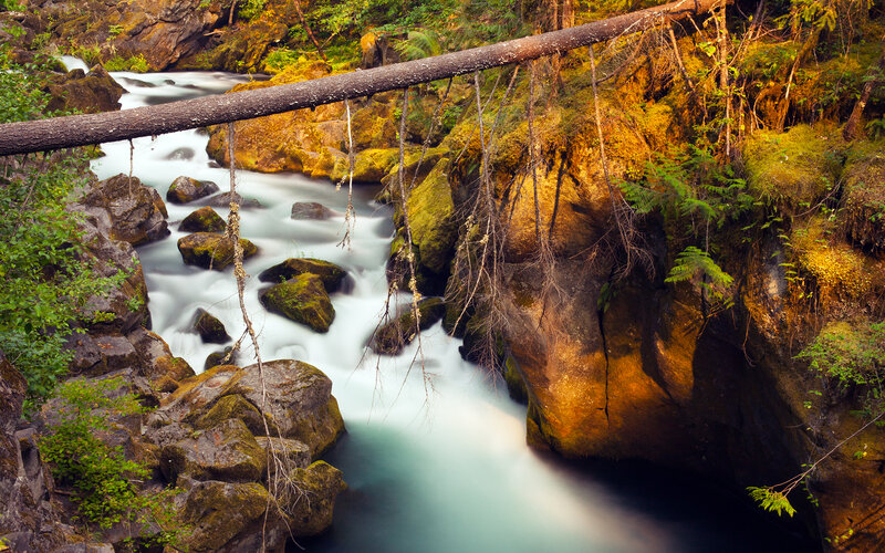 River Flowing Through Canyon — Green, Serene, Afternoon, Photograph, Rocks, Moss