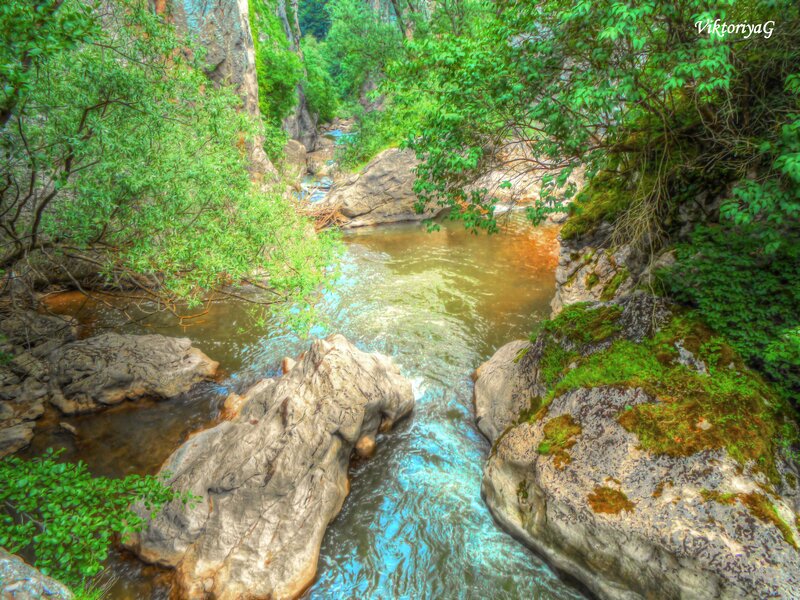 River Flowing Through Canyon — Green, Serene, Afternoon, Photograph, Rocks, Trees, Moss