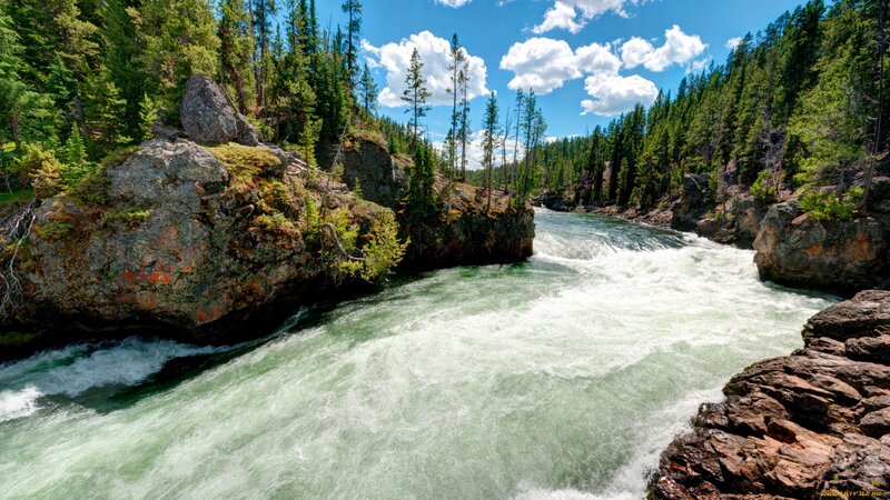 River Flowing Through Canyon — Green, Serene, Afternoon, Photograph, Trees, Rocks
